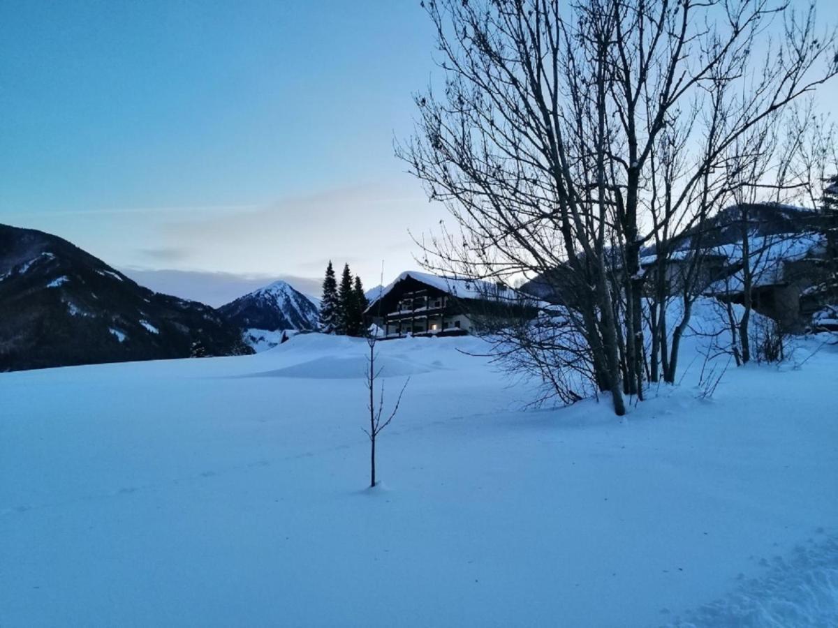 Zur Sonnigen, Eleganten Kuh Schladming Esterno foto